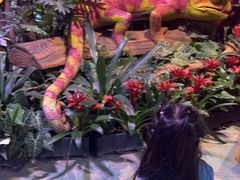 -正佳雨林生态植物园