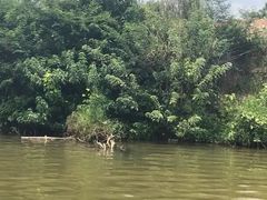 -长泰漂流水陆空景区