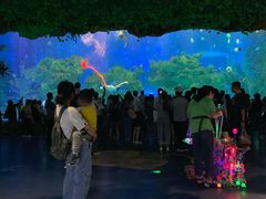 -芜湖新华联大白鲸海洋公园