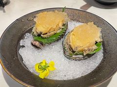 秘制冻鲍鱼-荟廷·晶萃(陆家嘴尚悦湾店)