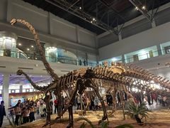 -自贡恐龙博物馆