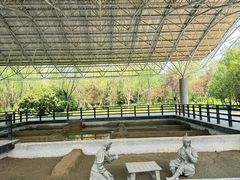 -合肥三国新城遗址公园