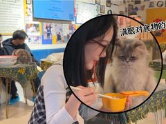 -平行世界·猫咖(首经贸店)