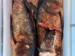 大湖鱼头-江湖水乡铁锅炖魚(周庄嘉园店)
