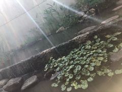 -中国湿地博物馆