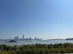 -演武大桥观景平台
