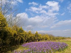 -白鹭湾湿地公园