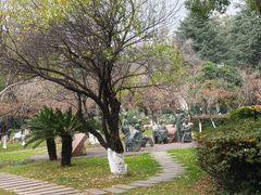 -云南师范大学(一二一西南联大校区)