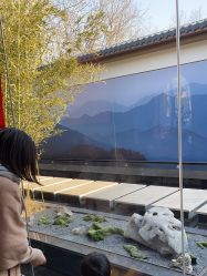 -爱儿美儿童摄影(朝阳公园店)