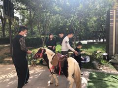 -远洋未来广场(育慧北路店)