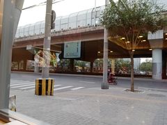 -蝎王府羊蝎子(北大地店)