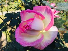 -人民公园(罗湖区)