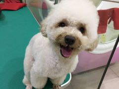 -佳雯宠物医院(四明中路分院)