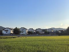 -黄牛肉馆·皖南土菜