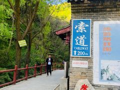 -王顺山国家森林公园