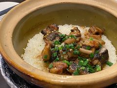 -红星光发煲仔饭(文海店)