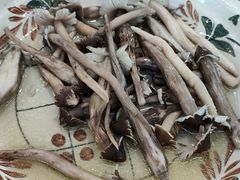 清蒸荔枝菌-正宗鸡饭粤香酒家(朱村店)