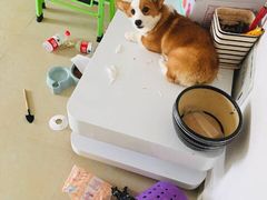 -味多美蛋糕(六里桥店)