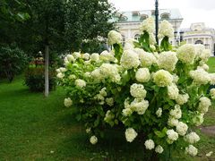 -滴血救世主教堂