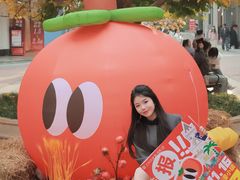 -王府井奥莱临潼小镇(临潼店)