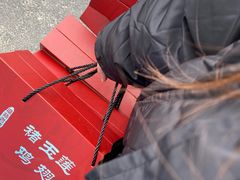 -褚玉莲鸡翅