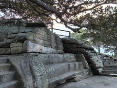 -麦考利夫人座椅