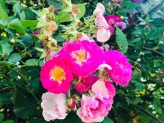 -白鹭湾湿地公园