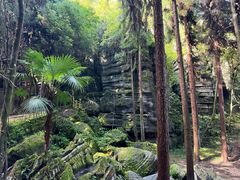 -梭布垭石林景区