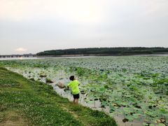-丁香湖公园