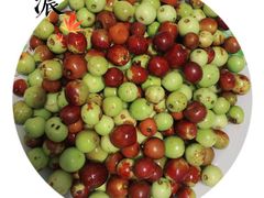 -ZEMOCAFE·FUSION FOOD(西交利物浦店)