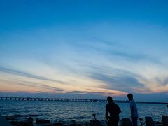 -宝安西湾红树林湿地公园