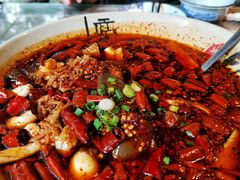 -青城甲(青城山店)