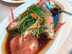 清蒸三须公鱼-匠心牛公馆·潮汕牛肉海鲜火锅(索菲特店)