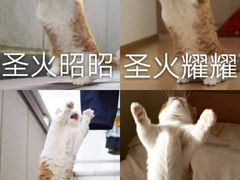 籽虾-九寸花汀海鲜烤肉自助(中东迪克店)