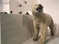 -墨尔本博物馆(Melbourne Museum)