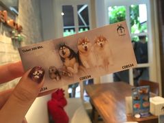 -TrueLove @ Neverland (Husky Cafe)