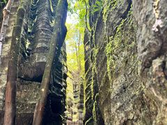 -梭布垭石林景区