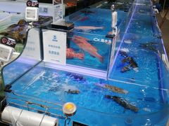 -盒马鲜生(观音桥店)