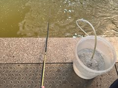 -粮心小农·大头虾亲子生态园(长发店)