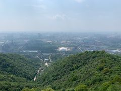 -杭州半山国家森林公园