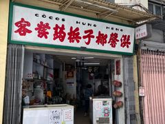 -洪馨椰子