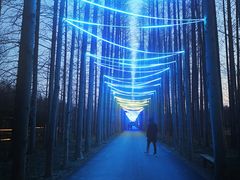 -黄海国家森林公园