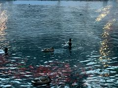 -水磨沟公园