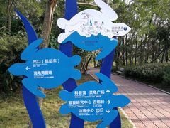 指示牌-广东惠东海龟国家级自然保护区