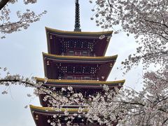 -东湖磨山景区