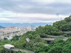 -福道