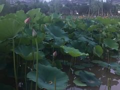 -沐仙湖湿地公园