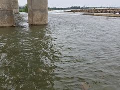 -绿堤公园