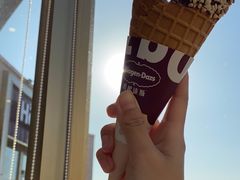 -哈根达斯(赛特奥莱店)
