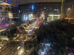 -小大董·烤鸭(观景餐厅·南京西路店)